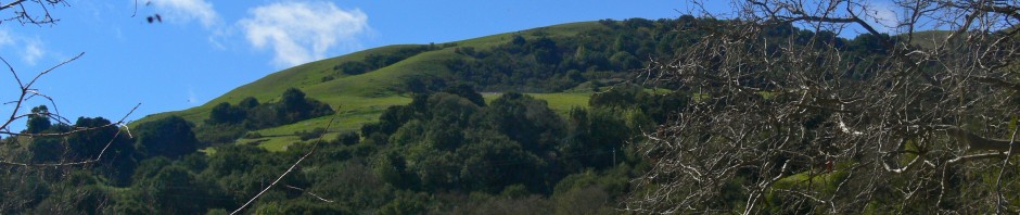 Orinda hills viewed from our church
