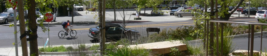 Looking out from the Reading Room window to our community