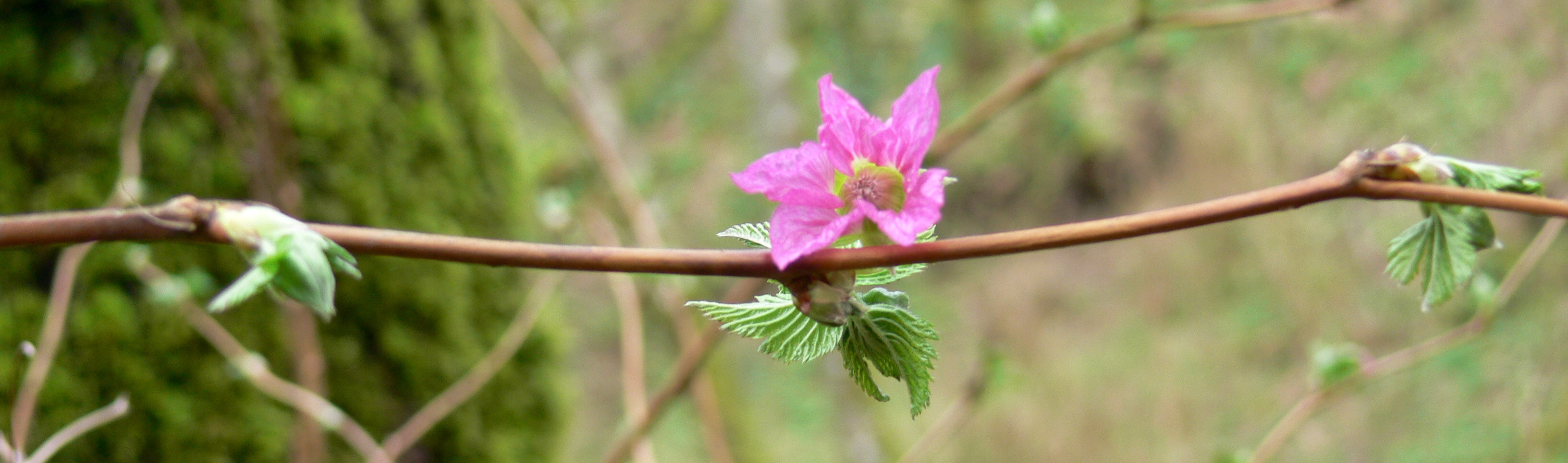 Christian Science Care Facilities in Northern California Christian